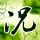 定制新版林克明学院文凭学位【degxx.com】